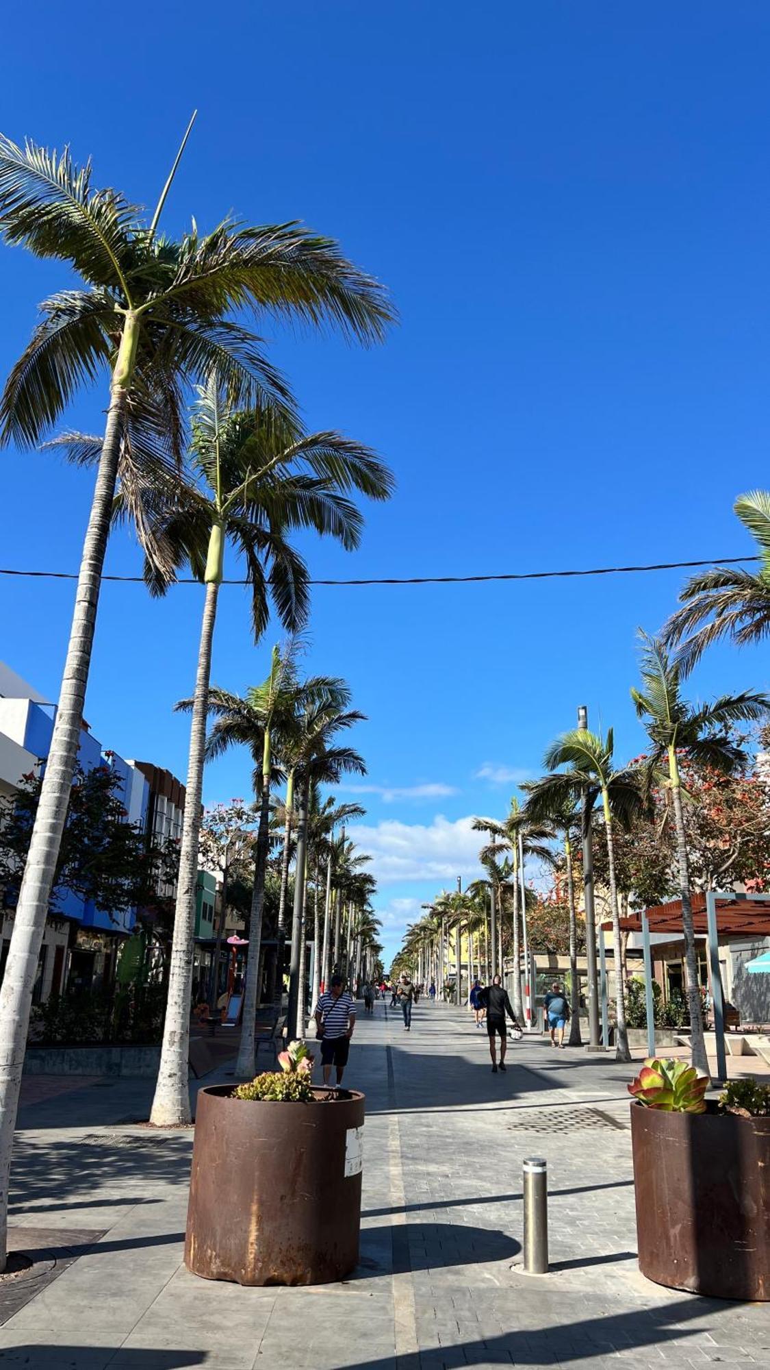 Mirame Canarias Vecindario  Zewnętrze zdjęcie